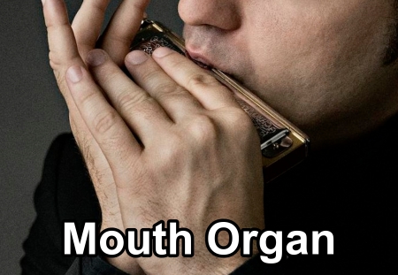 Mouth Organ